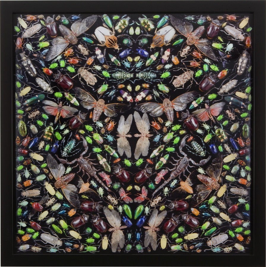 Damien Hirst, Inferno, 2016 - Smolensky Gallery