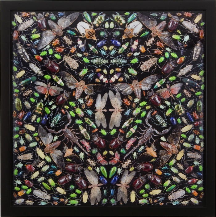 Damien Hirst, Inferno, 2016 - Smolensky Gallery