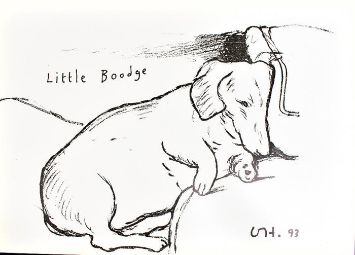 David Hockney, Little Boodge, 1993