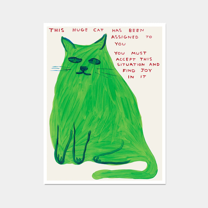 photo of an art print by david shrigley featuring a large green cat, depicted in a humorous and cartoonish style, with red text in uppercase stating 'this huge cat has been assigned to you / you must accept this situation and find joy in it'. david shrigley, shrigley art, david shrigley art, david shrigley prints, david shrigley prints