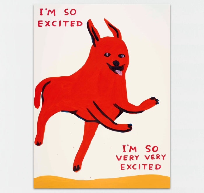 photo of david shrigley art print featuring a large red dog, jumping off an orange ground, with the text 'I'M SO EXCITED', 'I'M SO VERY VERY EXCITED' placed around the dog. all of this is in david shrigley's signature cartoonish, childlike style. david shrigley art david shrigley print