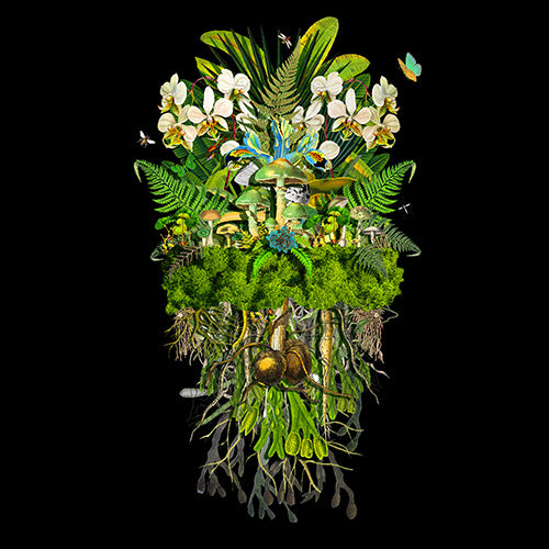 Jana Nicole, Botanical Troupe: Limelight, 2023