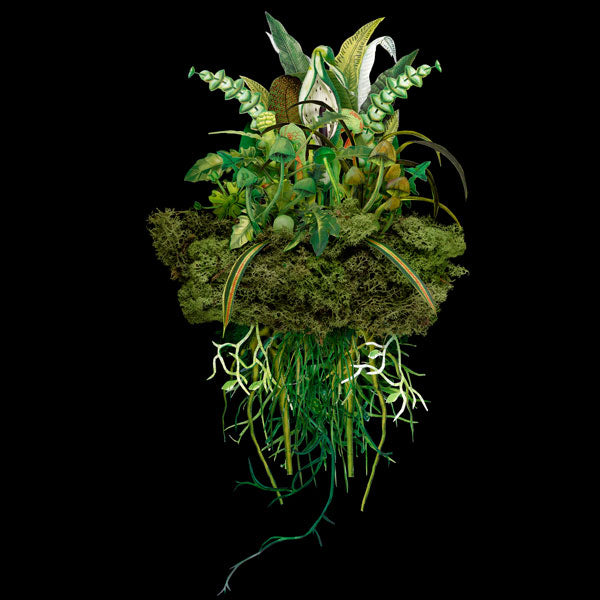 Jana Nicole, Botanical Troupe: Meadow, 2023