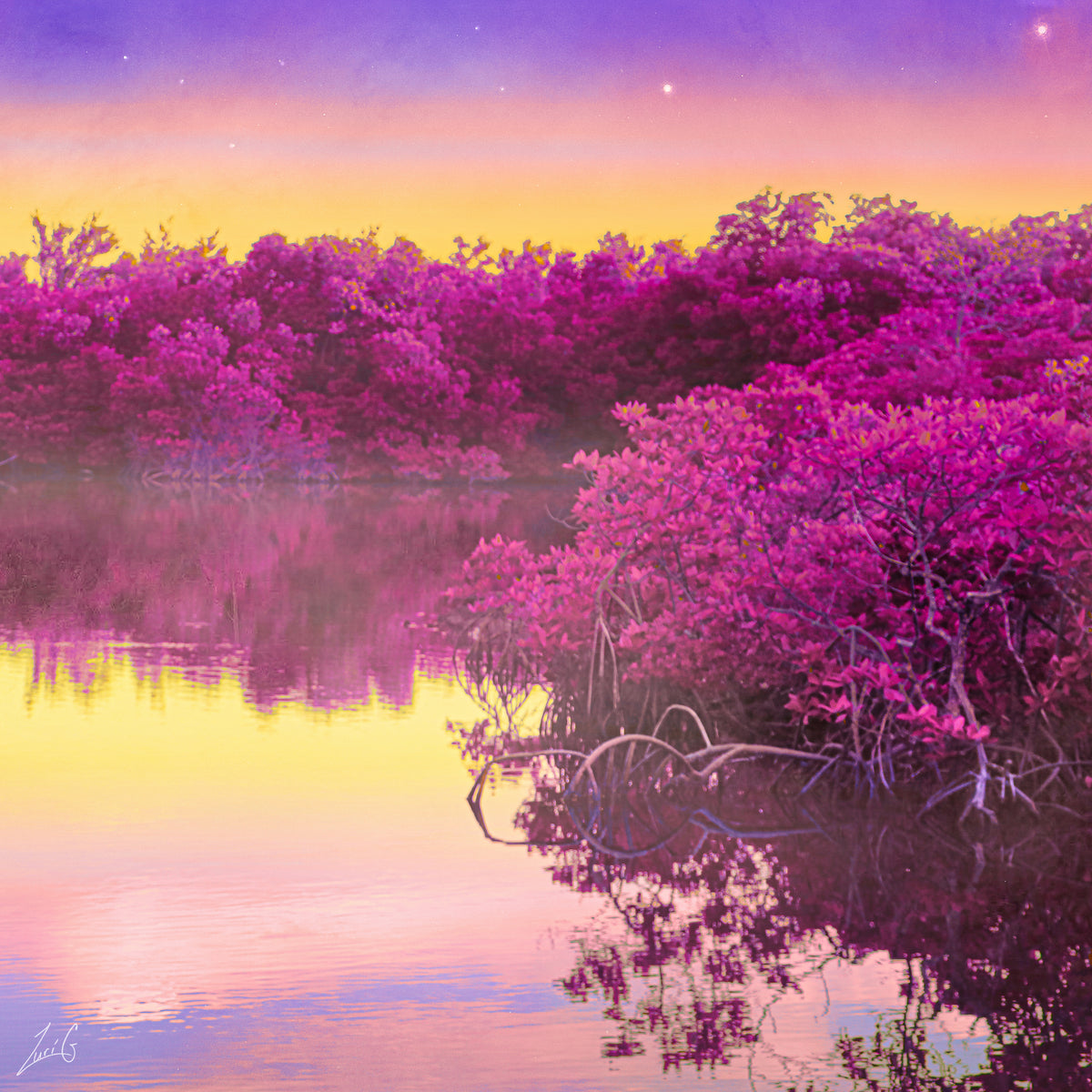 Zuri Goddard, Mystical Mangroves, 2020