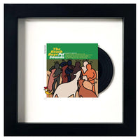 TBOY, Beach Boys mini album, art for sale from smolensky gallery