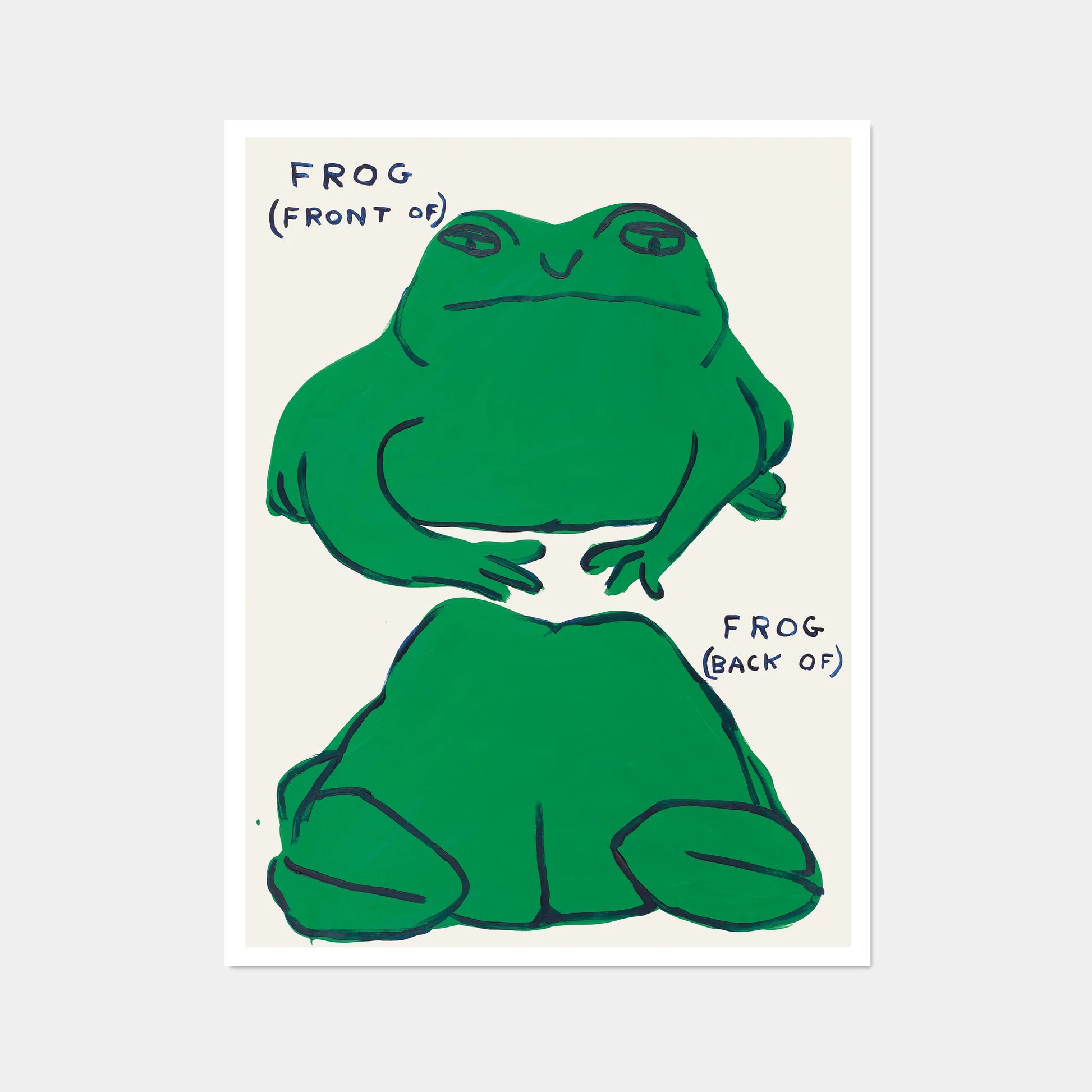 photo of a david shrigley art print featuring images of the front and back of a cartoonishly painted frog, with the words 'FROG (FRONT OF) FROG (BACK OF)'. Buy David Shrigley, David Shrigley Prints, David Shrigley art, David Shrigley poster, david shrigley art prints